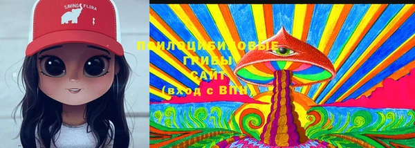 соль курить ск Аркадак